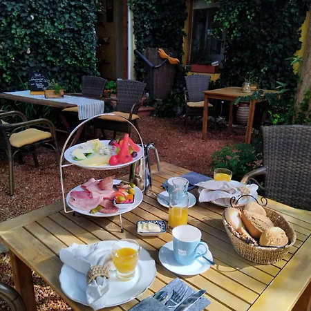 Hotell Zum Ginkgobaum Stadtilm