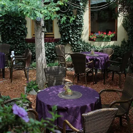 Hotell Zum Ginkgobaum Stadtilm