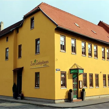 苏姆季妮科格布姆酒店 3* Stadtilm