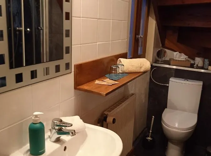 Hotel Zum Ginkgobaum Stadtilm