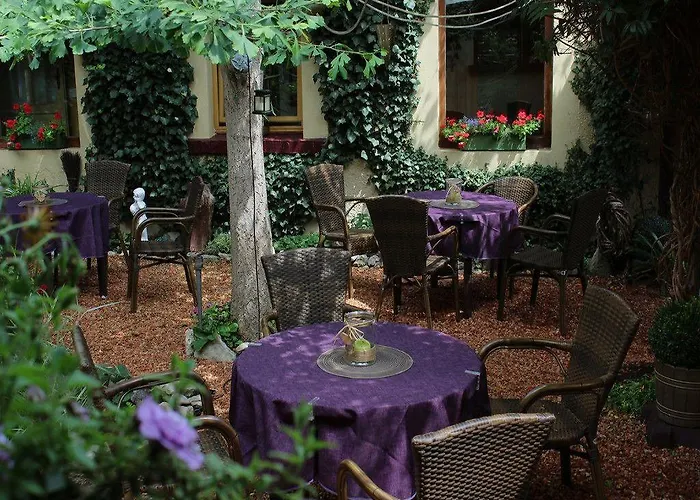 Hotel Zum Ginkgobaum Stadtilm