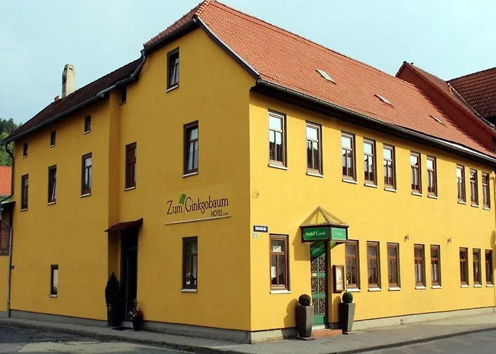 Zum Ginkgobaum 3* Stadtilm