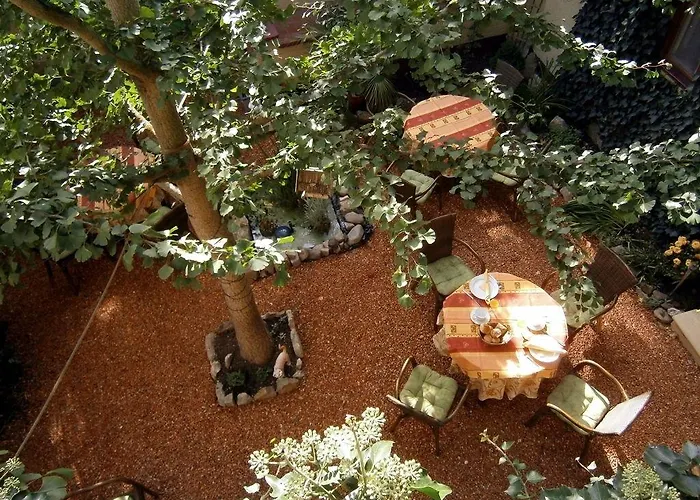 Zum Ginkgobaum Hotel 3*