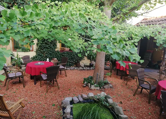 Zum Ginkgobaum 3* Stadtilm