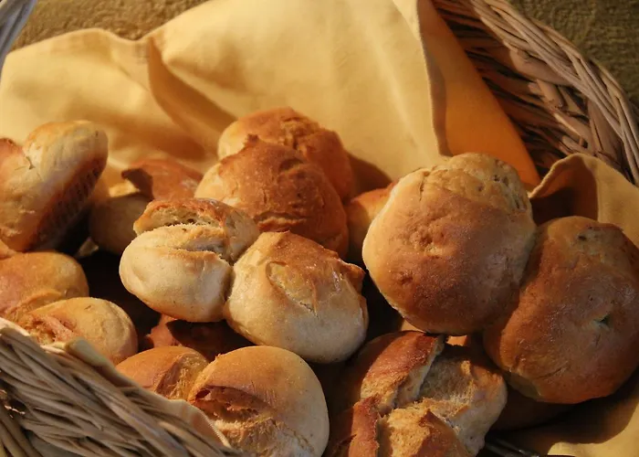 Zum Ginkgobaum Hotel